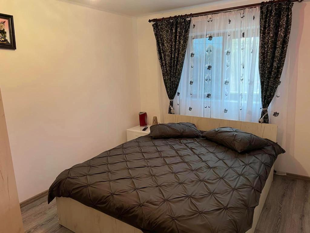 Pensiunea B C M Malu Mare Exterior foto